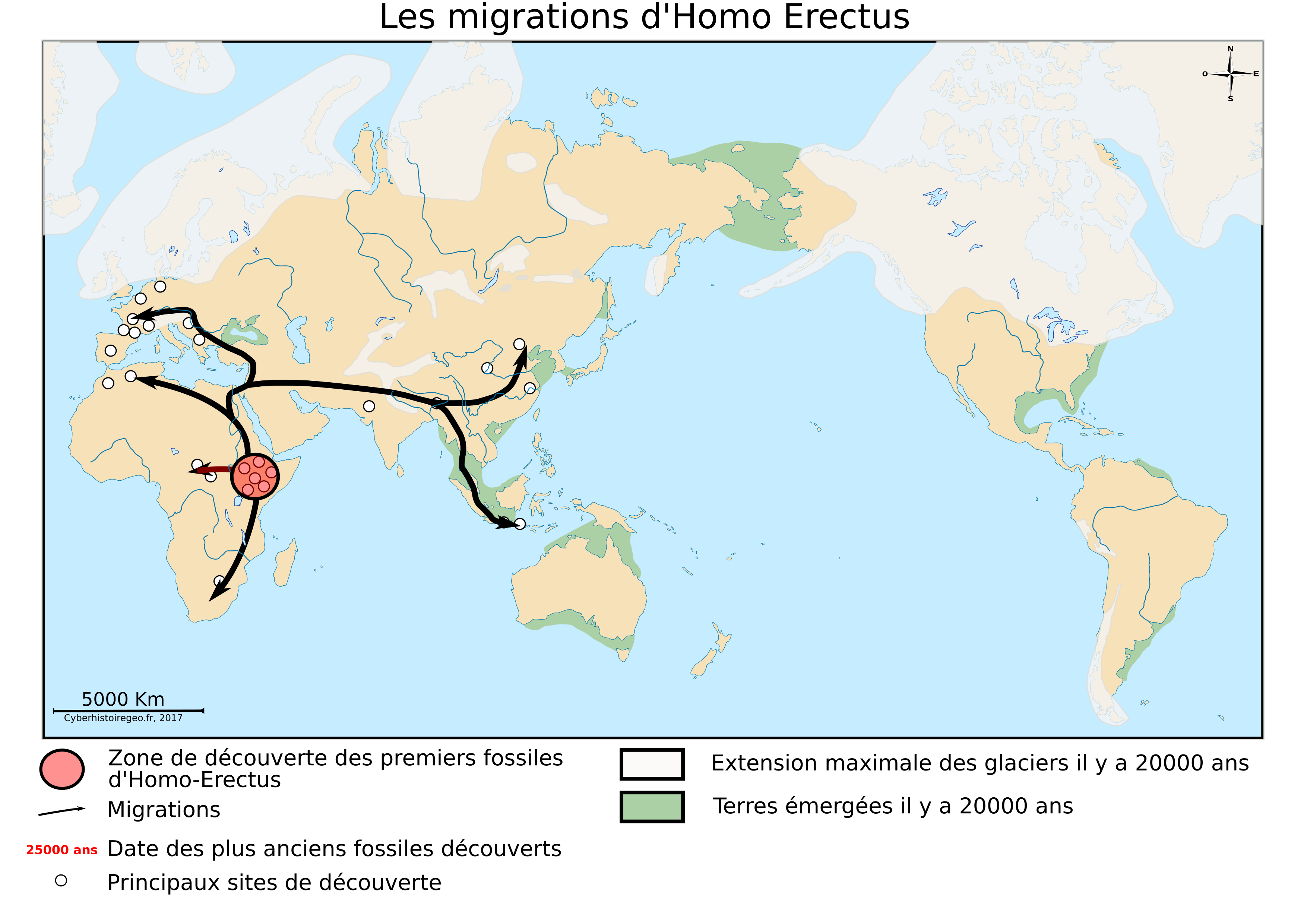 Les migrations d'Homo Erectus